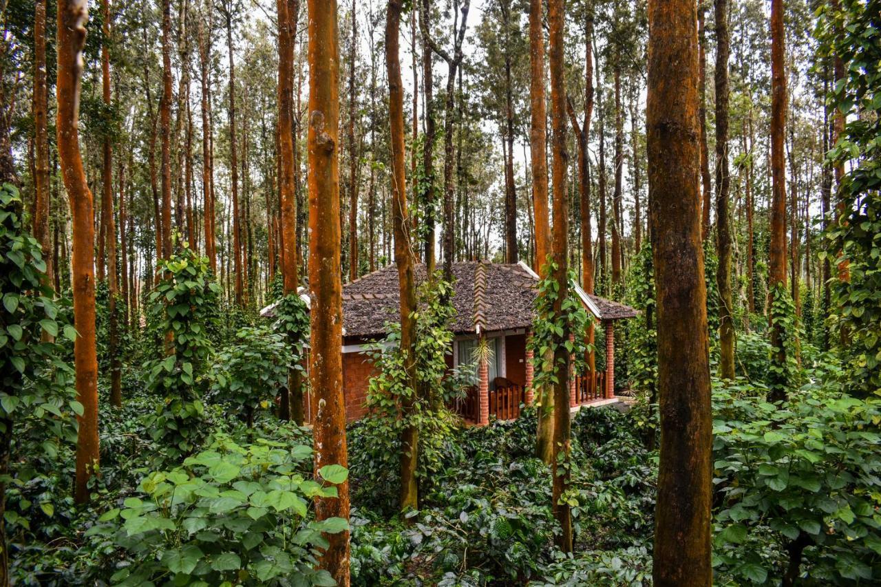 Coffee Grove Resort Chikmagalūr المظهر الخارجي الصورة