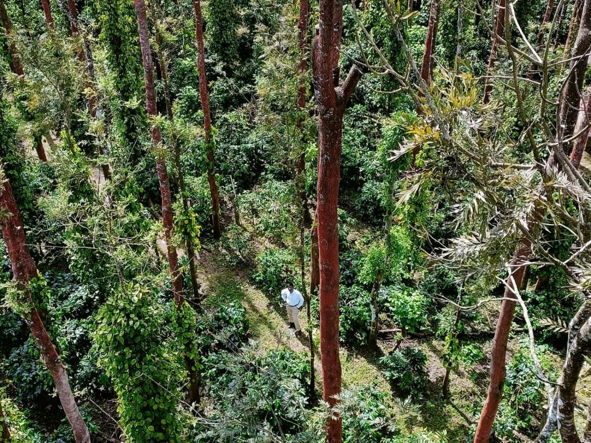 Coffee Grove Resort Chikmagalūr المظهر الخارجي الصورة