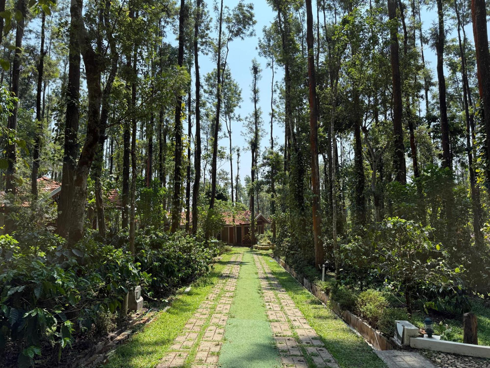 Coffee Grove Resort Chikmagalūr المظهر الخارجي الصورة