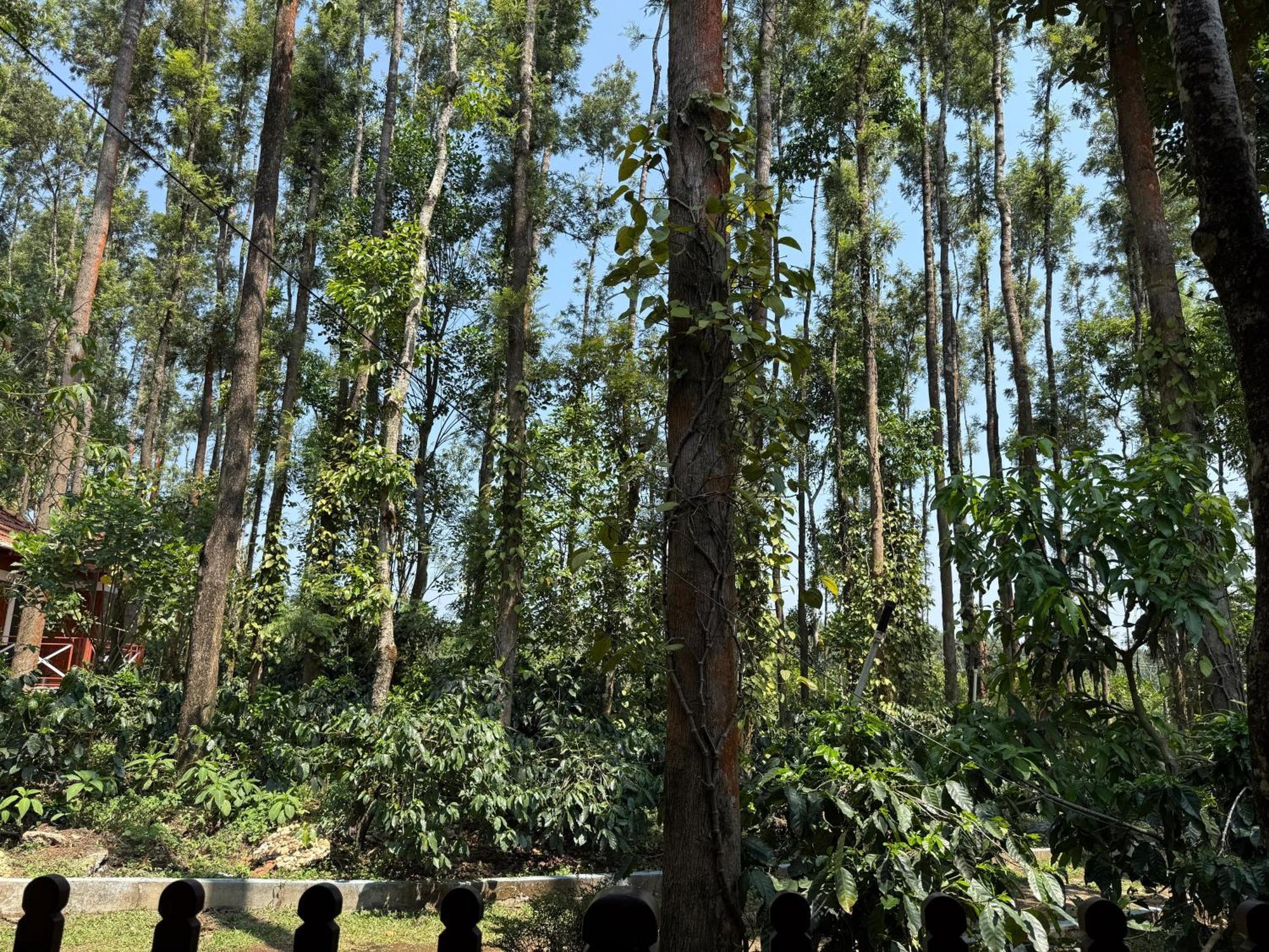 Coffee Grove Resort Chikmagalūr المظهر الخارجي الصورة