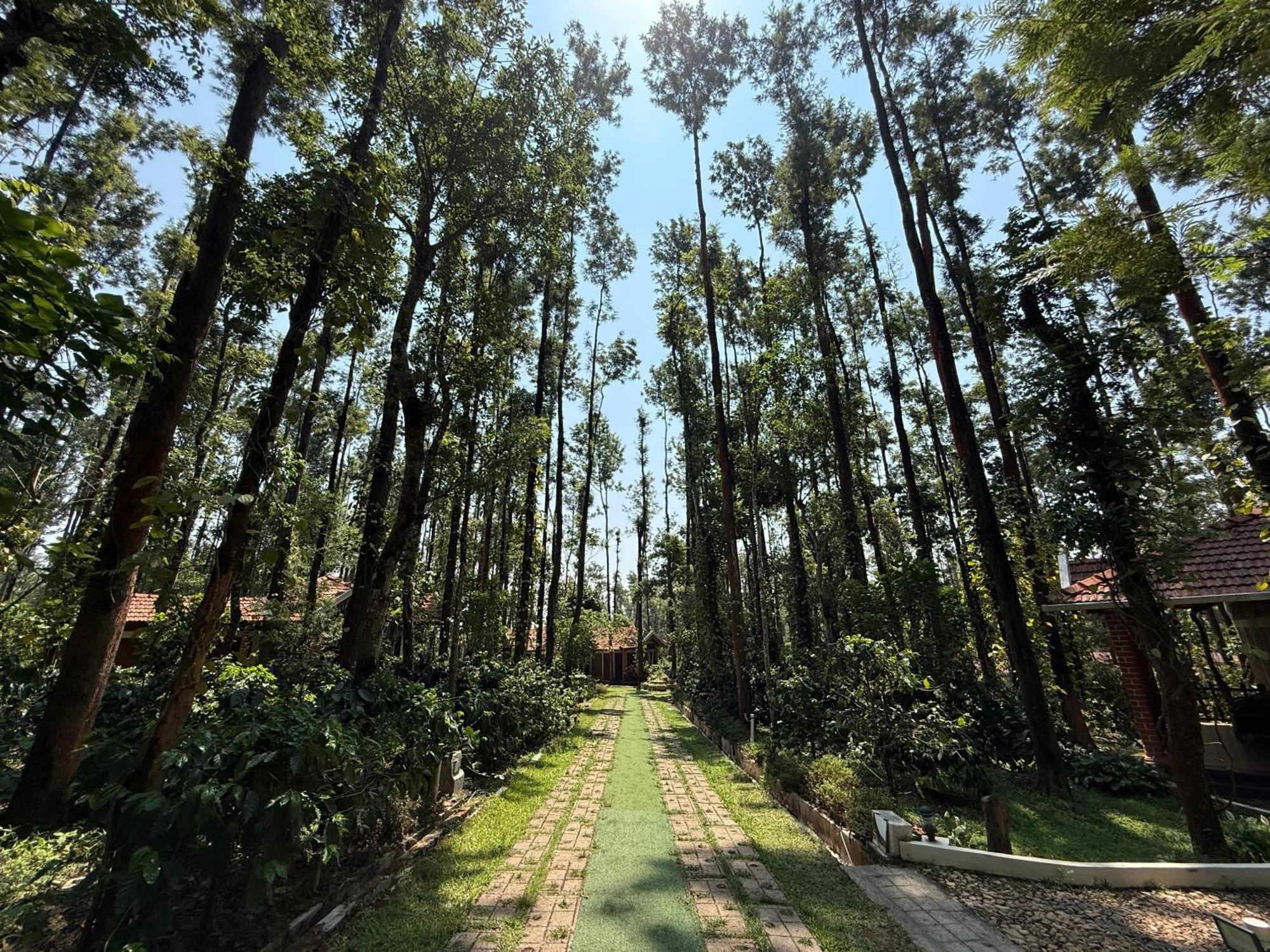 Coffee Grove Resort Chikmagalūr المظهر الخارجي الصورة