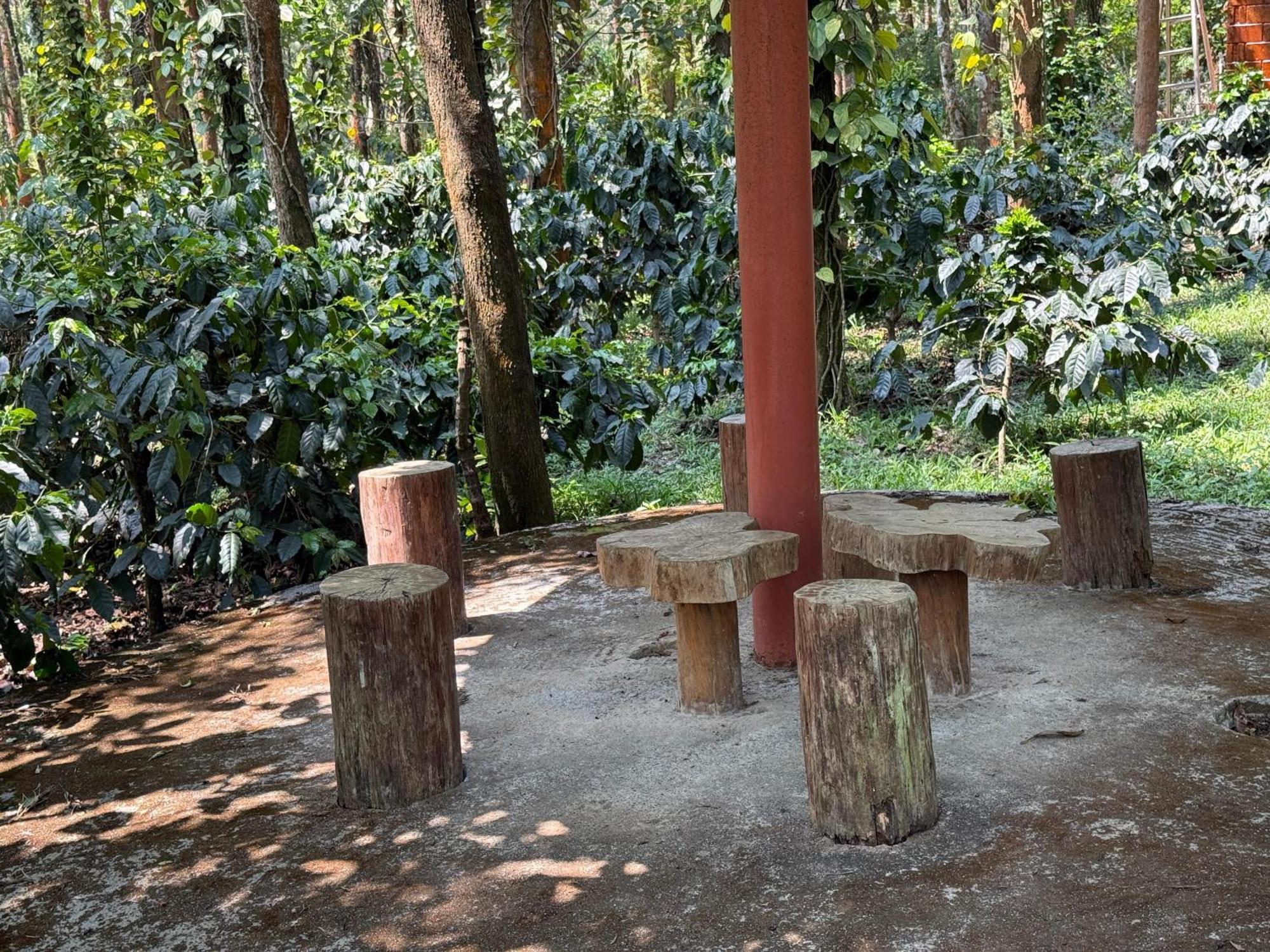 Coffee Grove Resort Chikmagalūr المظهر الخارجي الصورة