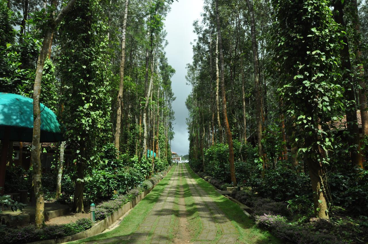 Coffee Grove Resort Chikmagalūr المظهر الخارجي الصورة